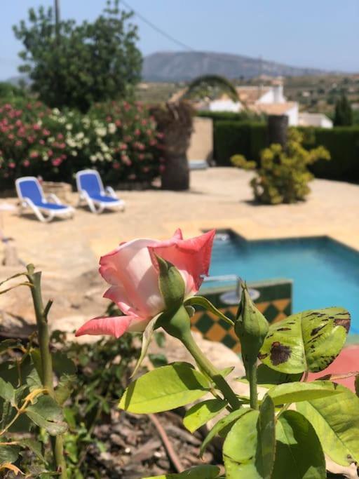 Rustico Appartment 'Olta' In Finca, See-And Garden Side Teulada Exterior foto